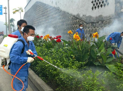 除四害消杀